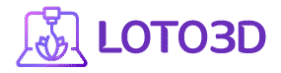 LOTO 3D Logo Horizontal